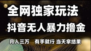 全网独家玩法抖音无人暴力撸金,月入3W,有手就行,当天拿结果【揭秘】-第一资源库
