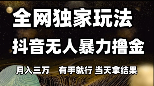 全网独家玩法抖音无人暴力撸金,月入3W,有手就行,当天拿结果【揭秘】-第一资源库