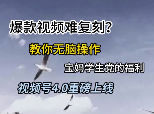 视频号4.0重磅上线，爆款视频难复刻？教你无脑操作宝妈学生党的福利【揭秘】-第一资源库