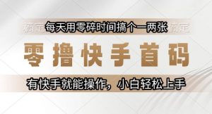 零撸快手首码，每天用零碎时间搞个一两张，有快手就能操作小白轻松上手【揭秘】-第一资源库