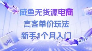 咸鱼无货源电商,高客单价玩法,新手1个月入门-第一资源库
