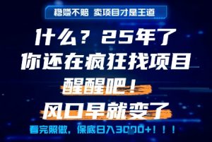 什么？25年你还在疯狂找项目做，醒醒吧，看完这些你全都懂了！【揭秘】-第一资源库