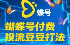2025蝴蝶号付费投流豆豆打法，助新手快速掌握付费流量撬动自然流的核心玩法-第一资源库