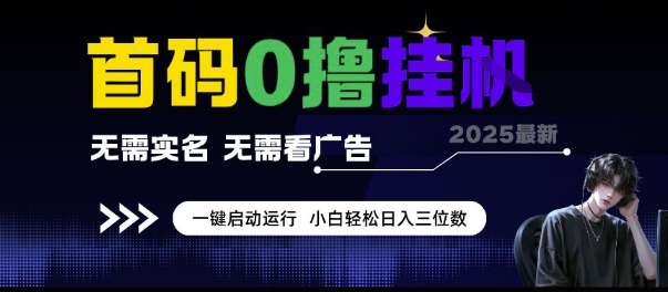 首码0撸挂G项目，无需实名无需看广告 一键启动运行，小白轻松日入三位数【揭秘】-第一资源库