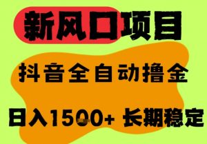 最新风口抖音无人直播掘金，纯暴力项目，无人撸音浪，全自动运行日入1.5k+，可矩阵放大【揭秘】-第一资源库