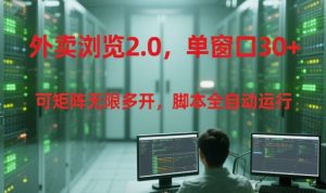 外卖浏览2.0，单窗口30+可矩阵无限多开，脚本全自动运行【揭秘】-第一资源库