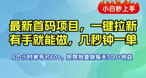 最新首码项目,一键拉新有手就能做,几秒钟一单,1个小时单号可60+,矩阵批量做每天5张【揭秘】-第一资源库