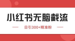 小红书截流同行客源，独家野路子获客玩法 日引200+暴力获客【揭秘】-第一资源库