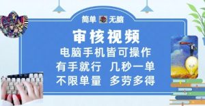 审核视频，电脑手机皆可操作，有手就行，几秒一单，不限单量，多劳多得【揭秘】-第一资源库