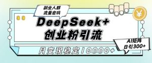 DeepSeek+创业粉精准引流，全新分享课4.0玩法，AI矩阵日引300+，多种变现方式，稳定月入1W-第一资源库