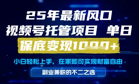 25年最新风口,视频号托管项目,单日保底变现1k+,手把手教学【揭秘】-第一资源库