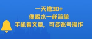一天撸30+，像喝水一样简单，手机看文章，可多账号操作-第一资源库