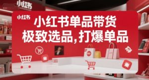 小红书单品带货，极致选品，打爆单品-第一资源库