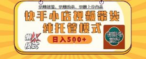 快手小店托管代运营，无需剪辑，无需选品，无需上传作品，全程无需操作，轻松月入5k+【揭秘】-第一资源库