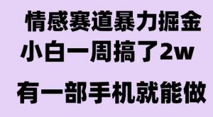 情感暴力掘金项目，新人操作一周挣了2W，长期稳定小白可做【揭秘】-第一资源库