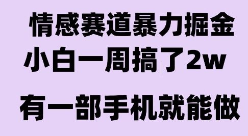 情感暴力掘金项目,新人操作一周挣了2W,长期稳定小白可做【揭秘】-第一资源库