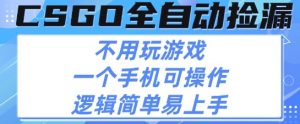 CSGO自动捡漏项目,最新独家玩法,不用挂G不用玩游戏,一个手机即可操作,新手小白轻松月入1W+【揭秘】-第一资源库