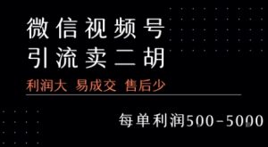 视频号卖二胡教程,利润大 易成交 售后少,一单利润5张+-第一资源库
