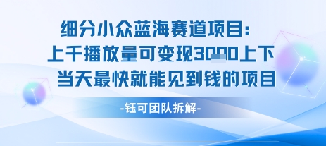 小众蓝海赛道项目：当天变现1k+适合新手操作 +适合长期玩-第一资源库