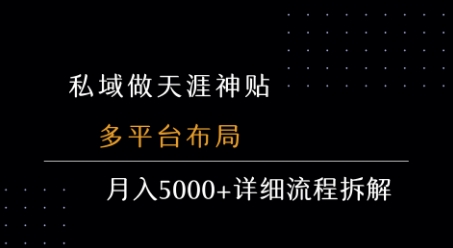 私域做天涯神贴 多平台布局 月入5k+详细流程拆解-第一资源库