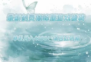 最新剑灵巅峰服游戏搬砖，项目红利期，单机稳定月入4k+操作简单好上手【揭秘】-第一资源库