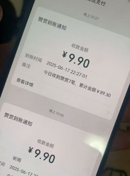 二次元男粉快速变现项目，私域卖虚拟产品，百分利润-第一资源库