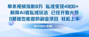 单条视频私域变现4.9k+利用AI做私域玩法 已经开始火热0基础也能做的副业项目轻松上手-第一资源库