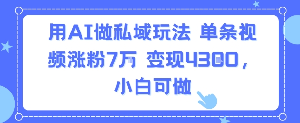 用AI做私域玩法，单条视频涨粉7W变现4.3k，小白可做-第一资源库
