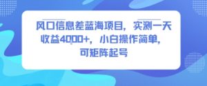 风口信息差蓝海项目，实测一天收益4k+，小白操作简单，可矩阵起号-第一资源库