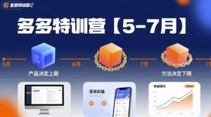 多多特训营【5-7月】产品决定上限，方法决定下限，各种玩法技巧落地实操-第一资源库