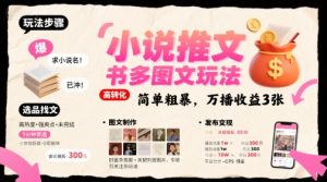 小说推文小红书多图文玩法，简单粗暴，万播收益3张-第一资源库