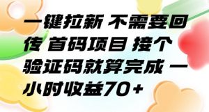 一键拉新 不需要回传 首码项目 接个验证码就算完成 一小时收益70+【揭秘】-第一资源库