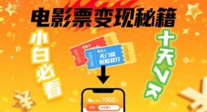 小白必看！卖电影票项目，零投入无门槛谁都能做，十天到手 7k，照做就行【揭秘】-第一资源库