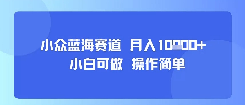 小众蓝海赛道，小白可做，操作简单，每天30分钟，月入1W+-第一资源库