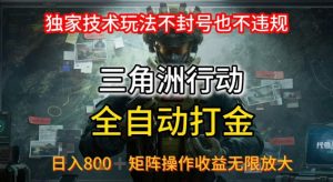 三角洲最新全自动G机,独家技术玩法,不封号也不违规, 日入8张+可矩阵操作,收益无限放大【揭秘】-第一资源库