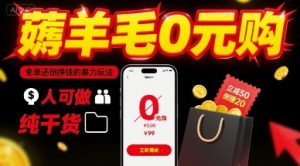 薅羊毛0元购，免单还倒挣钱的暴力玩法，人人可做，纯干货-第一资源库