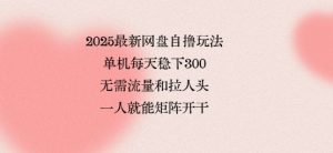 2025最新网盘自撸玩法,单机每天稳下3张,无需流量和拉人头,一个人就可轻松矩阵,全网独一份【揭秘】-第一资源库