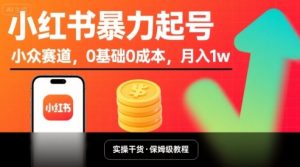 小红书暴力起号,小众赛道,0基础0成本,月入1w-第一资源库