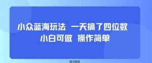 小众蓝海玩法 一天搞了四位数 小白可做 操作简单-第一资源库
