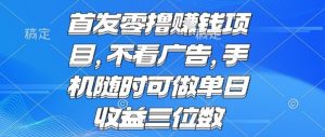 首发零撸挣钱项目 不看广告 手机随时可做 单日收益三位数【揭秘】-第一资源库