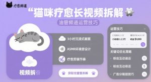 猫咪疗愈长视频拆解 &油管频道运营技巧-第一资源库
