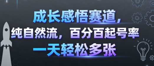 成长感悟赛道，纯自然流，百分百起号率 一天轻松多张-第一资源库