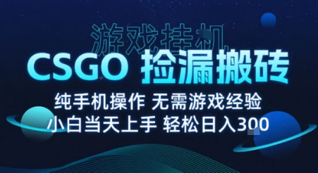 8月最新游戏搬砖，CSGO纯挂G，不需要玩游戏，实现真挂G，月入1W+【揭秘】-第一资源库