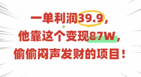 一单利润39.9，有人靠这个变现几十个，偷偷闷声发财的项目-第一资源库