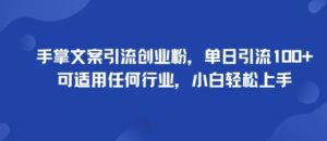 手掌文案引流创业粉，单日引流100+，可适用任何行业，小白轻松上手-第一资源库
