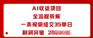 AI收徒项目全流程拆解一条视频成交35单日利润突破1k+-第一资源库
