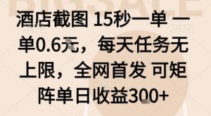 酒店截图15秒一单,一单0.6米,每天任务无上限,全网首发可矩阵单日收益3张【揭秘】-第一资源库