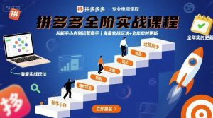 拼多多全阶实战课程，从新手小白到运营高手，海量实战玩法+全年实时更新【2025年9月更新】-第一资源库