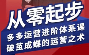 拼多多运营进阶系统课，从零起步，多多运营进阶体系课，破茧成蝶的运营之术（更新9月）-第一资源库