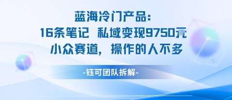 蓝海项目：16条笔记私域变现9750米小众赛道操作的人不多-第一资源库